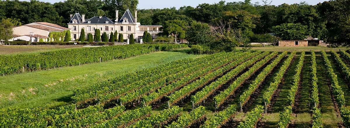 Chateau Meyre Avensan Eksteriør bilde